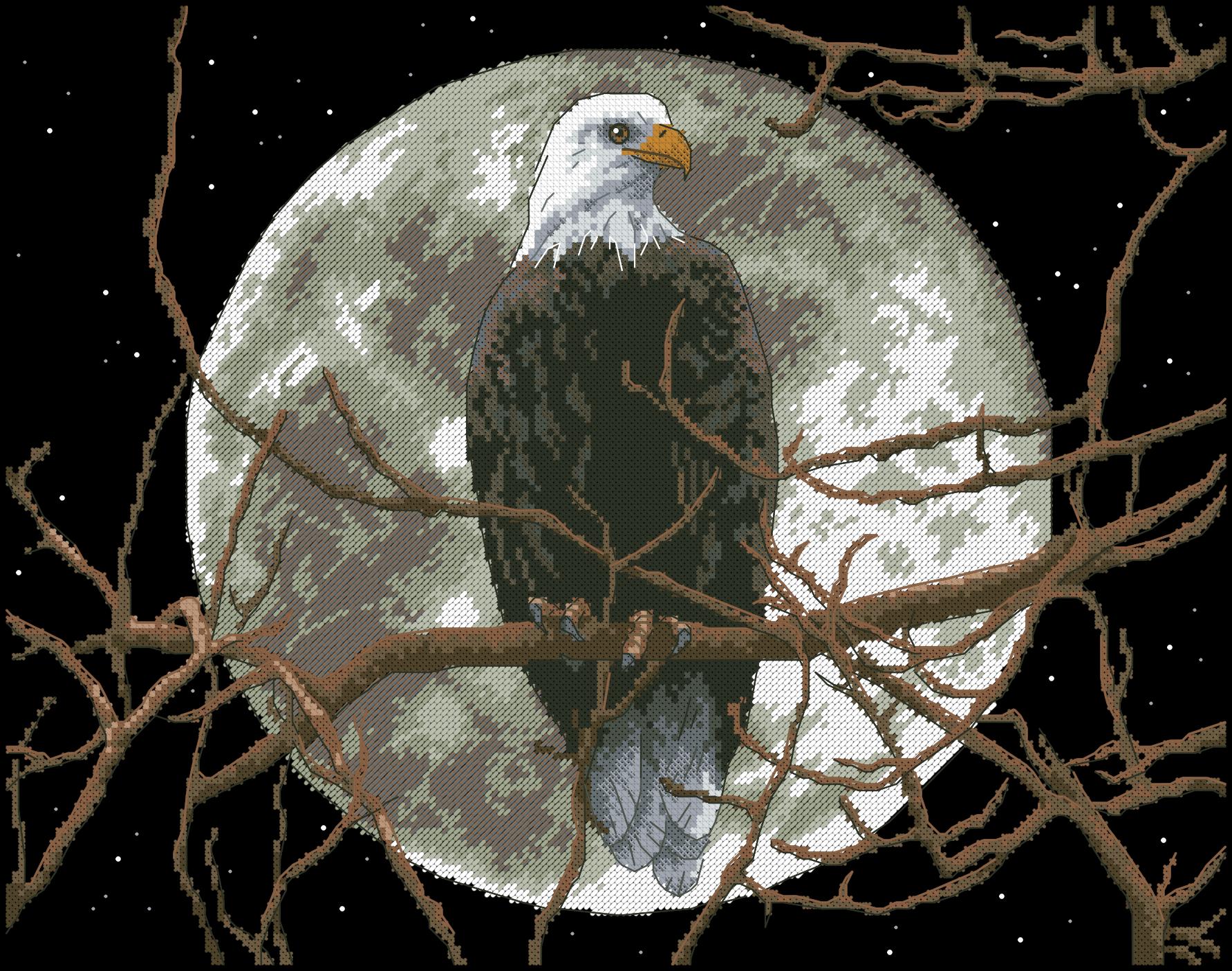 https://dayunoa.oss-cn-beijing.aliyuncs.com/所有图纸/DIM/Dimensions13688 Eagle in Moonlight.jpeg